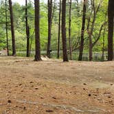 Review photo of Lorraine Park Campground — Harold Parker State Forest by Jean C., May 27, 2020