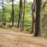 Review photo of Lorraine Park Campground — Harold Parker State Forest by Jean C., May 27, 2020