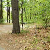 Review photo of Lorraine Park Campground — Harold Parker State Forest by Jean C., May 27, 2020