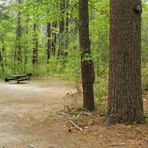 Review photo of Lorraine Park Campground — Harold Parker State Forest by Jean C., May 27, 2020