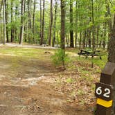 Review photo of Lorraine Park Campground — Harold Parker State Forest by Jean C., May 27, 2020