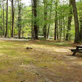 Review photo of Lorraine Park Campground — Harold Parker State Forest by Jean C., May 27, 2020