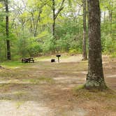 Review photo of Lorraine Park Campground — Harold Parker State Forest by Jean C., May 27, 2020