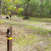 Review photo of Lorraine Park Campground — Harold Parker State Forest by Jean C., May 27, 2020