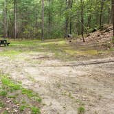 Review photo of Lorraine Park Campground — Harold Parker State Forest by Jean C., May 27, 2020