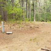 Review photo of Lorraine Park Campground — Harold Parker State Forest by Jean C., May 27, 2020