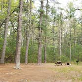 Review photo of Lorraine Park Campground — Harold Parker State Forest by Jean C., May 27, 2020