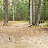 Review photo of Lorraine Park Campground — Harold Parker State Forest by Jean C., May 27, 2020