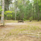 Review photo of Lorraine Park Campground — Harold Parker State Forest by Jean C., May 27, 2020