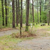 Review photo of Lorraine Park Campground — Harold Parker State Forest by Jean C., May 27, 2020