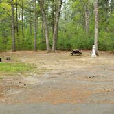 Review photo of Lorraine Park Campground — Harold Parker State Forest by Jean C., May 27, 2020