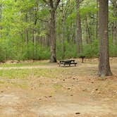 Review photo of Lorraine Park Campground — Harold Parker State Forest by Jean C., May 27, 2020