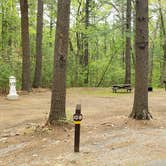 Review photo of Lorraine Park Campground — Harold Parker State Forest by Jean C., May 27, 2020