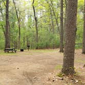 Review photo of Lorraine Park Campground — Harold Parker State Forest by Jean C., May 27, 2020