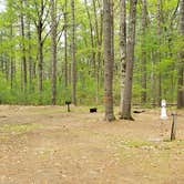 Review photo of Lorraine Park Campground — Harold Parker State Forest by Jean C., May 27, 2020