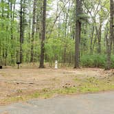 Review photo of Lorraine Park Campground — Harold Parker State Forest by Jean C., May 27, 2020