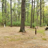 Review photo of Lorraine Park Campground — Harold Parker State Forest by Jean C., May 27, 2020