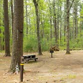 Review photo of Lorraine Park Campground — Harold Parker State Forest by Jean C., May 27, 2020