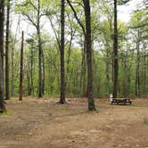 Review photo of Lorraine Park Campground — Harold Parker State Forest by Jean C., May 27, 2020