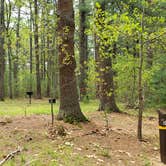 Review photo of Lorraine Park Campground — Harold Parker State Forest by Jean C., May 27, 2020