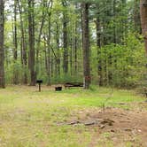 Review photo of Lorraine Park Campground — Harold Parker State Forest by Jean C., May 27, 2020