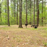 Review photo of Lorraine Park Campground — Harold Parker State Forest by Jean C., May 27, 2020