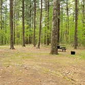 Review photo of Lorraine Park Campground — Harold Parker State Forest by Jean C., May 27, 2020