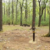 Review photo of Lorraine Park Campground — Harold Parker State Forest by Jean C., May 27, 2020