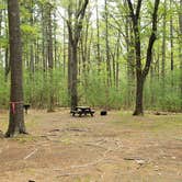 Review photo of Lorraine Park Campground — Harold Parker State Forest by Jean C., May 27, 2020