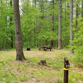 Review photo of Lorraine Park Campground — Harold Parker State Forest by Jean C., May 27, 2020