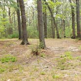 Review photo of Lorraine Park Campground — Harold Parker State Forest by Jean C., May 27, 2020