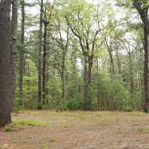 Review photo of Lorraine Park Campground — Harold Parker State Forest by Jean C., May 27, 2020