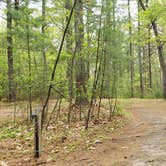 Review photo of Lorraine Park Campground — Harold Parker State Forest by Jean C., May 27, 2020