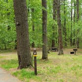 Review photo of Lorraine Park Campground — Harold Parker State Forest by Jean C., May 27, 2020