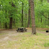 Review photo of Lorraine Park Campground — Harold Parker State Forest by Jean C., May 27, 2020