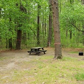 Review photo of Lorraine Park Campground — Harold Parker State Forest by Jean C., May 27, 2020