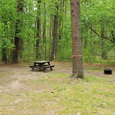 Review photo of Lorraine Park Campground — Harold Parker State Forest by Jean C., May 27, 2020