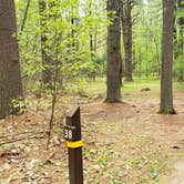 Review photo of Lorraine Park Campground — Harold Parker State Forest by Jean C., May 27, 2020