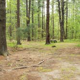 Review photo of Lorraine Park Campground — Harold Parker State Forest by Jean C., May 27, 2020