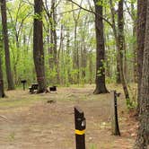 Review photo of Lorraine Park Campground — Harold Parker State Forest by Jean C., May 27, 2020