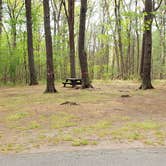 Review photo of Lorraine Park Campground — Harold Parker State Forest by Jean C., May 27, 2020