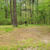 Review photo of Lorraine Park Campground — Harold Parker State Forest by Jean C., May 27, 2020