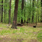 Review photo of Lorraine Park Campground — Harold Parker State Forest by Jean C., May 27, 2020