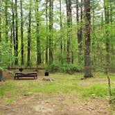 Review photo of Lorraine Park Campground — Harold Parker State Forest by Jean C., May 27, 2020