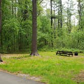 Review photo of Lorraine Park Campground — Harold Parker State Forest by Jean C., May 27, 2020