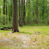 Review photo of Lorraine Park Campground — Harold Parker State Forest by Jean C., May 27, 2020