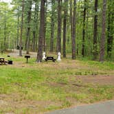 Review photo of Lorraine Park Campground — Harold Parker State Forest by Jean C., May 27, 2020