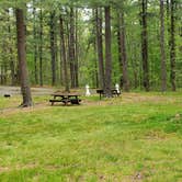 Review photo of Lorraine Park Campground — Harold Parker State Forest by Jean C., May 27, 2020