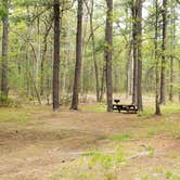 Review photo of Lorraine Park Campground — Harold Parker State Forest by Jean C., May 27, 2020