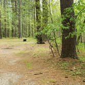 Review photo of Lorraine Park Campground — Harold Parker State Forest by Jean C., May 27, 2020